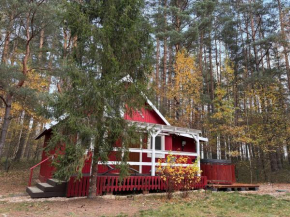 Hajerówka